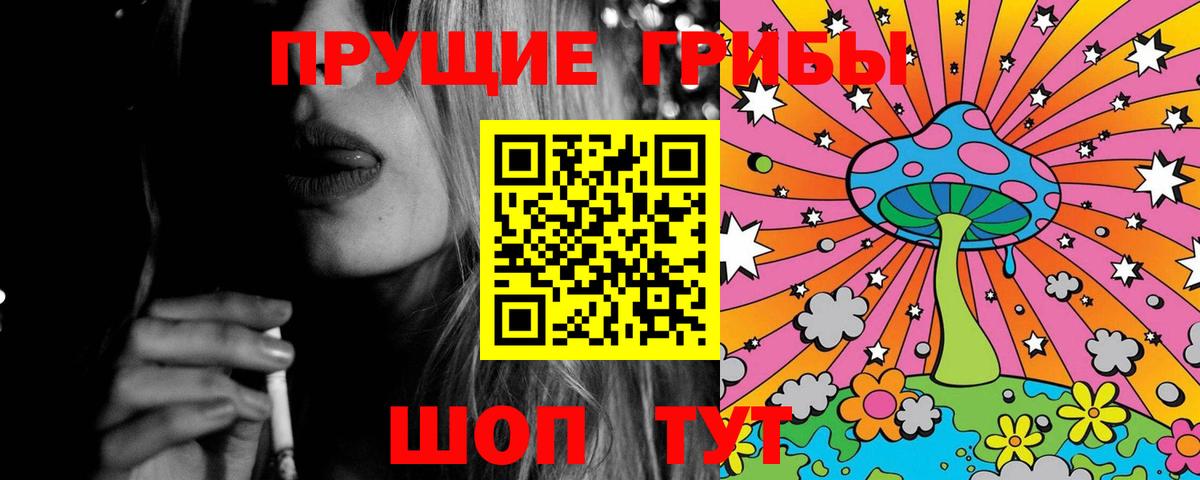 Сибай  Галлюциногенные грибы Psilocybe  Вход с VPN  Галлюциногенные грибы прущие грибы 